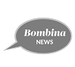 Our Partners- Bombina News